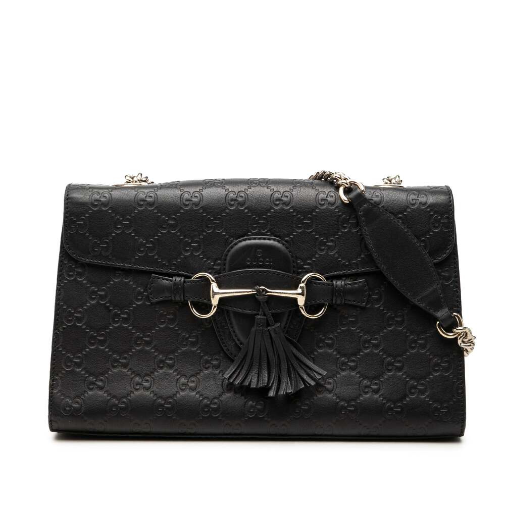 Emily Chain Flap Bag Guccissima Leather #311383G12B
